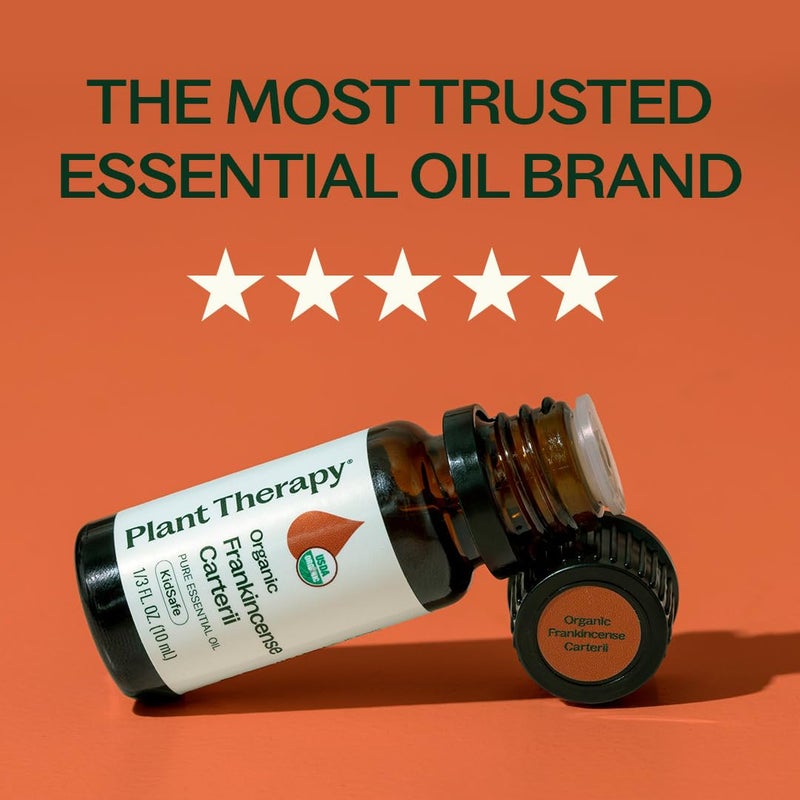 Plant Therapy Organic Frankincense Carterii Essential Oil 100% Pure, USDA Certified Organic, Undiluted, Natural Aromatherapy, Therapeutic Grade 10 mL (1/3 oz) - Image 3